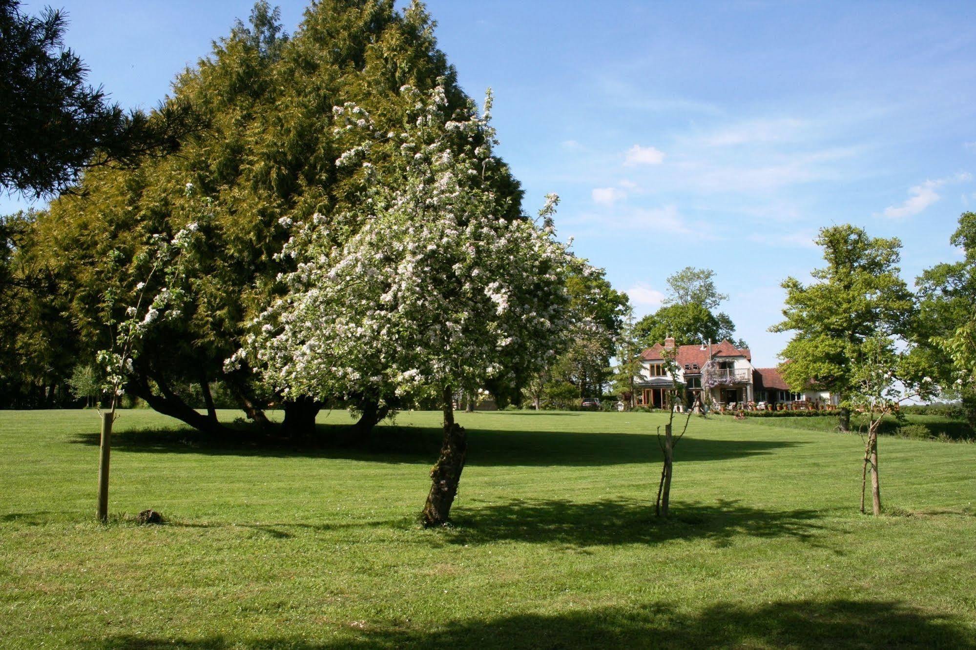 Shoyswell Cottage Hurst Green  Exterior foto